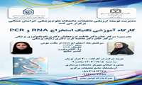  کارگاه آموزشی تکنیک استخراج RNA و PCR